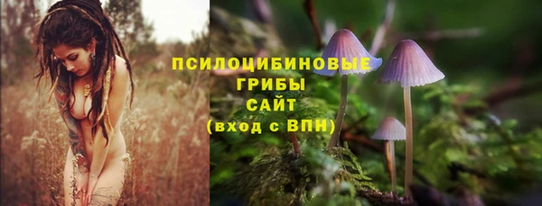 синтетический гашиш Алексин
