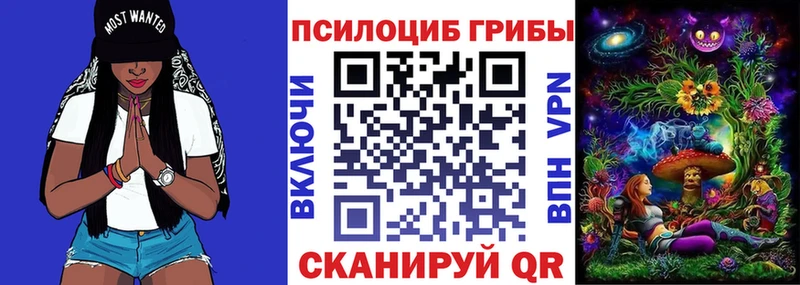 blacksprut как войти Макушино Псилоцибиновые грибы мухоморы